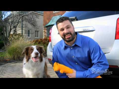 MyCarDoesWhat-Sizzle-Reel_October-7-2015