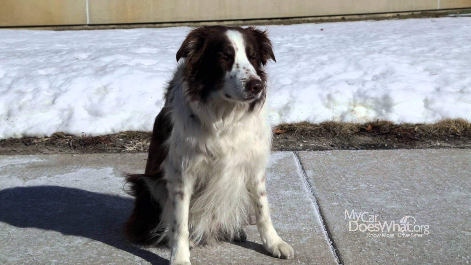 2254f19049d31f2d96edc0918b372b96