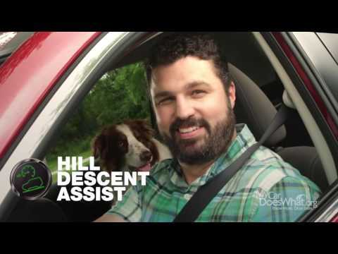 Hill-Descent-Assist-With-Rick-Scout