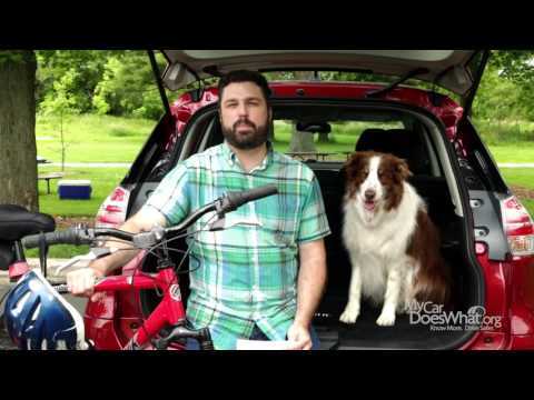 Pedestrian-Bicycle-Detection-With-Rick-Scout