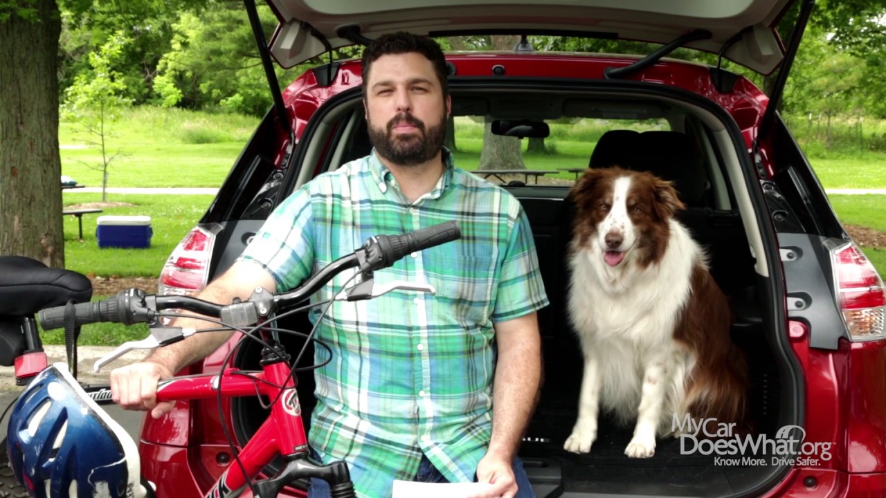 Pedestrian & Bicycle Detection - With Rick & Scout
