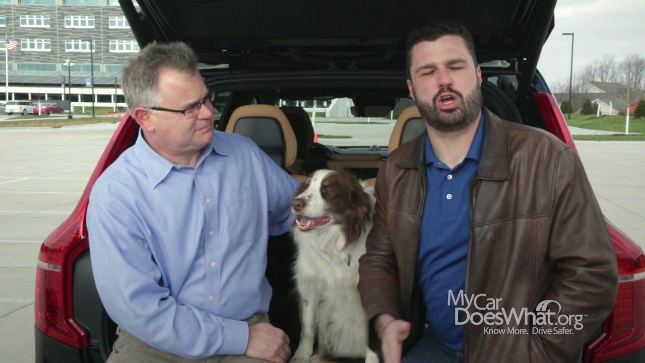 Automatic Emergency Braking - Rick & Scout